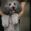 抱っこしてます