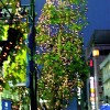 駅前通り