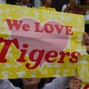 We Love Tigers