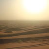 Desert Safaris