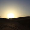 Desert Safaris