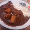 松屋　具だくさんチキンカレー490円怒