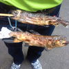 あまごの塩焼き1本￥２５０