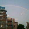 雨上がりの虹。二重だったのに、うまく写ってない