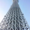 真横から・すごい迫力