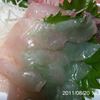 カワハギのお刺身