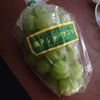 瀬戸ジャイアンツ