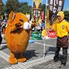 いなりんカワユス