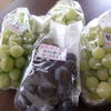 信州ぶどう