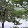 宇治川