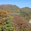 紅葉最盛期まではあと一歩