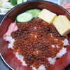 いくら丼にして見ました。