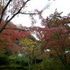 嵐山　天龍寺　庭園