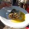 気仙沼サンマのコンフィは美味しい！