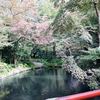 鶴岡八幡宮の池と紅葉