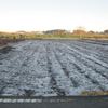 見沼田圃は霜で真っ白