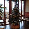 クリスマスツリー♪（モスバーガー西大寺店）
