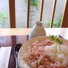 或る時のおろし蕎麦