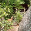 王滝渓谷にいくつかある展望台の一つ