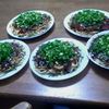 ねぎかけ…５枚焼くのはしんどかった。