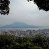 次に行くことがあれば、桜島にも行ってみたいなぁ。