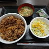 盛り和風牛丼（飯は普通盛り）サラダ、味噌汁690円