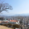 春日城址から伊那市街