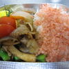 2月29日のお弁当