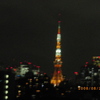 東京タワーがきれいでした。