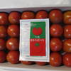 土佐まほろばトマト