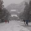 少し前には雪も降ったのに