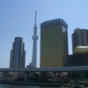 スカイツリーも主張しています