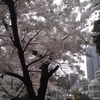 堀江公園