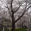 南堀江公園