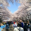 恩寵上野公園