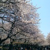 恩寵上野公園２