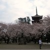 出勤時にパチリ　