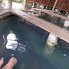 足湯(かまど地獄内)
