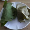 柏餅　包んである葉っぱが違うのはなぜ？