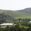 若草山