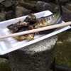 佳酒真楽やまなか　自家製干物の炭焼き