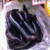 大長茄子。