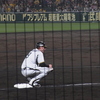 マートン☆