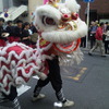 獅子舞だー！