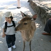 鹿と戯れる少年