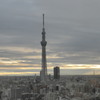 朝焼けに浮かび上がる『東京スカイツリー』
