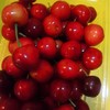 大粒さくらんぼ