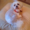 愛ちゃん美容院後