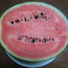 今年の西瓜は、皮が薄く、甘いものになっています。