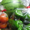 鮮度抜群！　新鮮な西瓜、ミニトマト、ピーマンです。